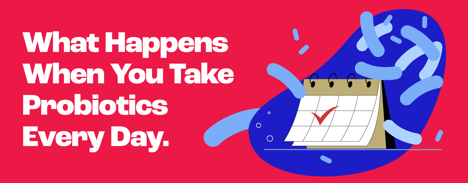 SEO article – Drink Yakult Every Day-01